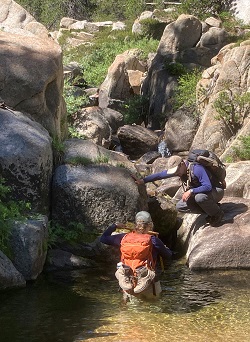 Two Heritage and Wild Trout Program team members measure and record pool depth at Milk Ranch Creek.